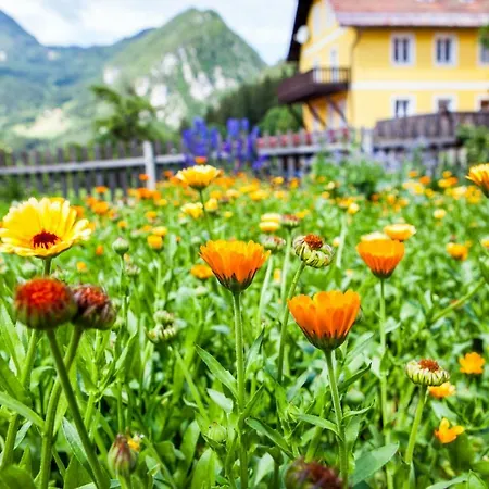 Farm stay Arlitscherhof *