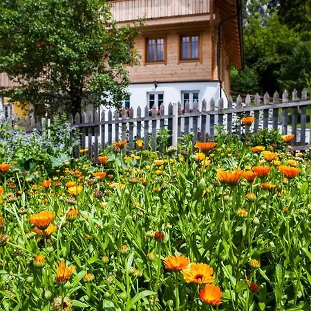 Arlitscherhof Farm stay